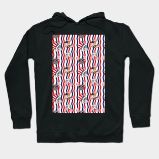 patriotic sphynx rick rack Hoodie